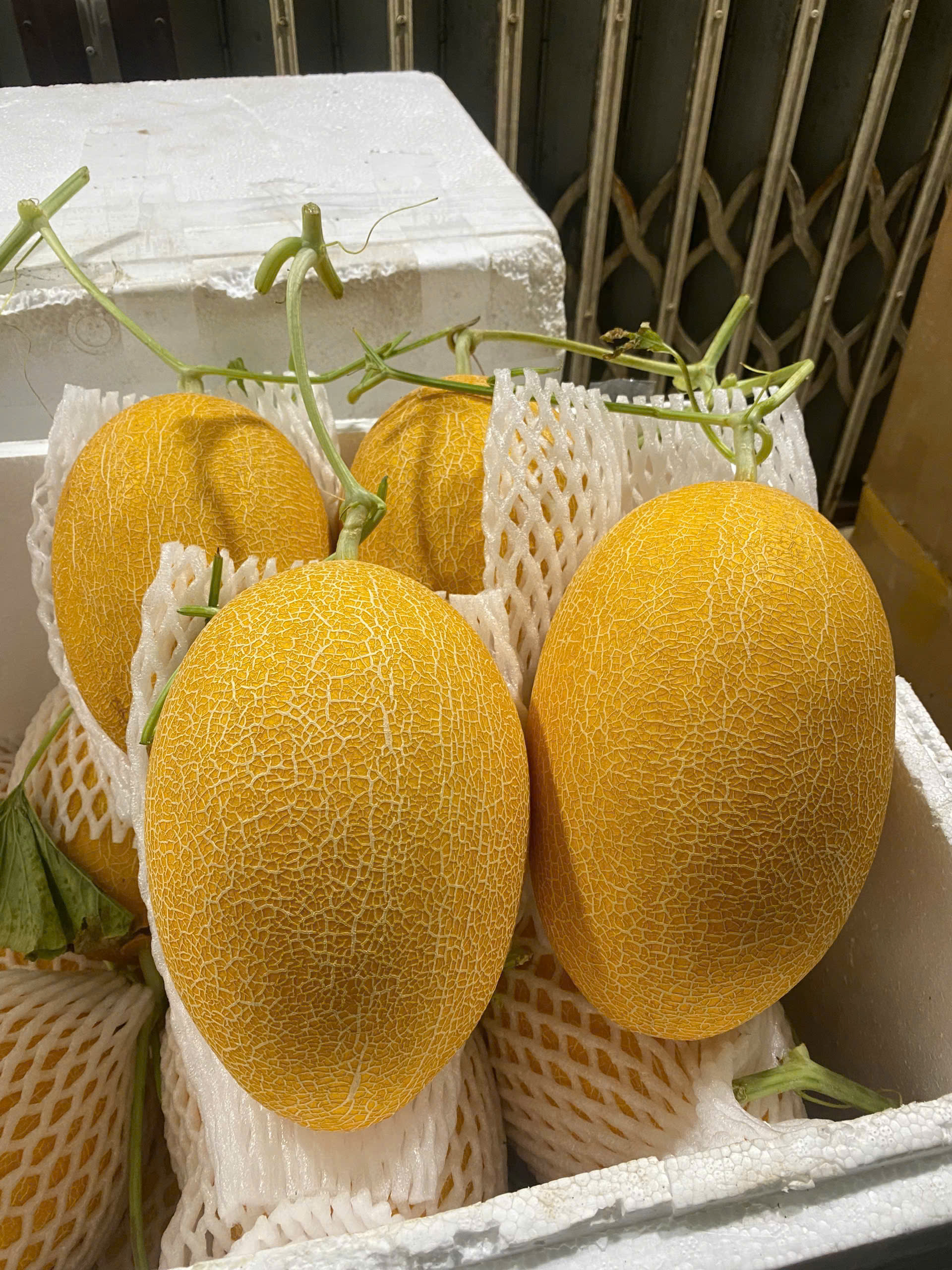 Dưa lưới Huỳnh Long - ảnh 2