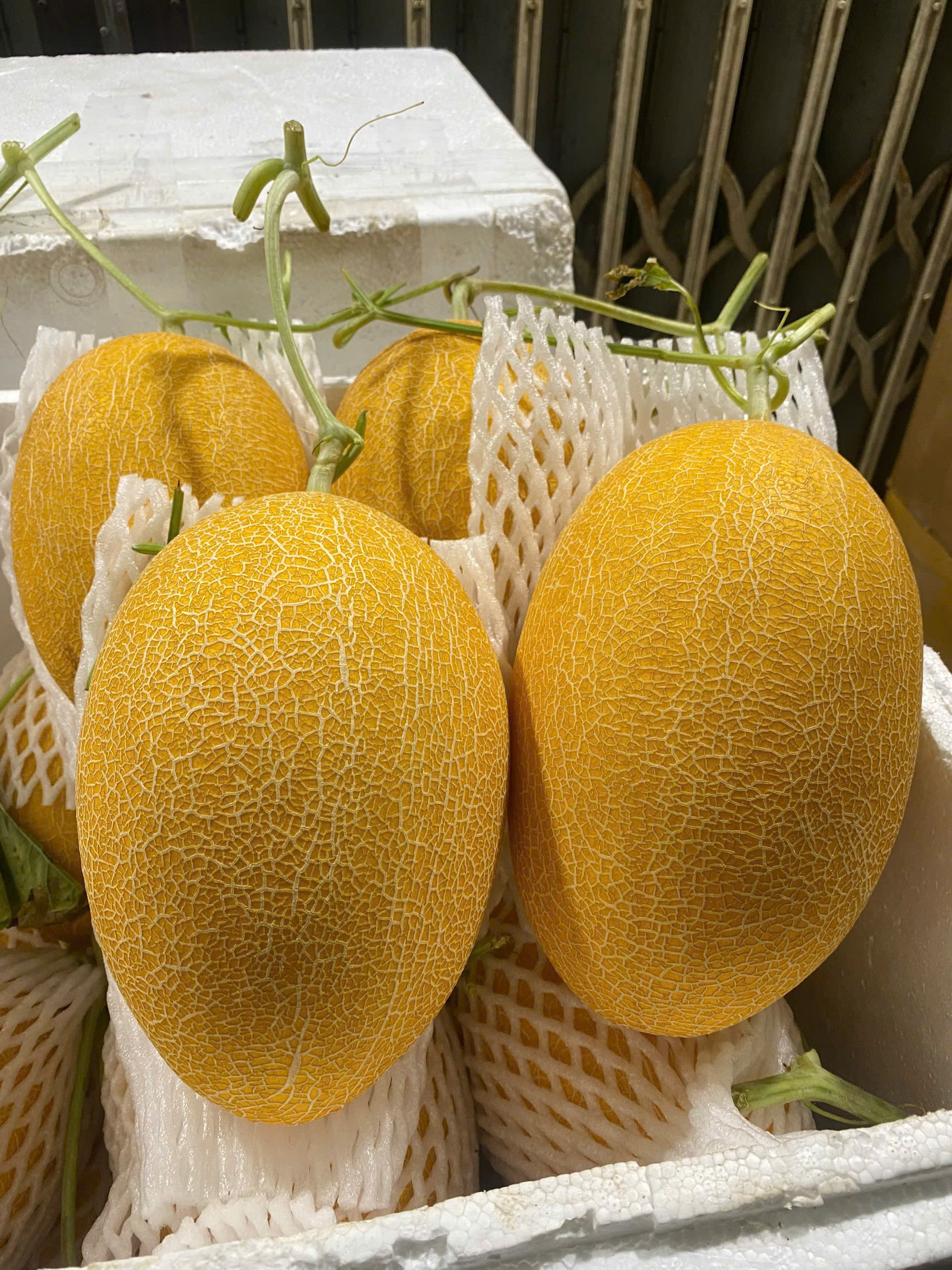 Dưa lưới Huỳnh Long - ảnh 3