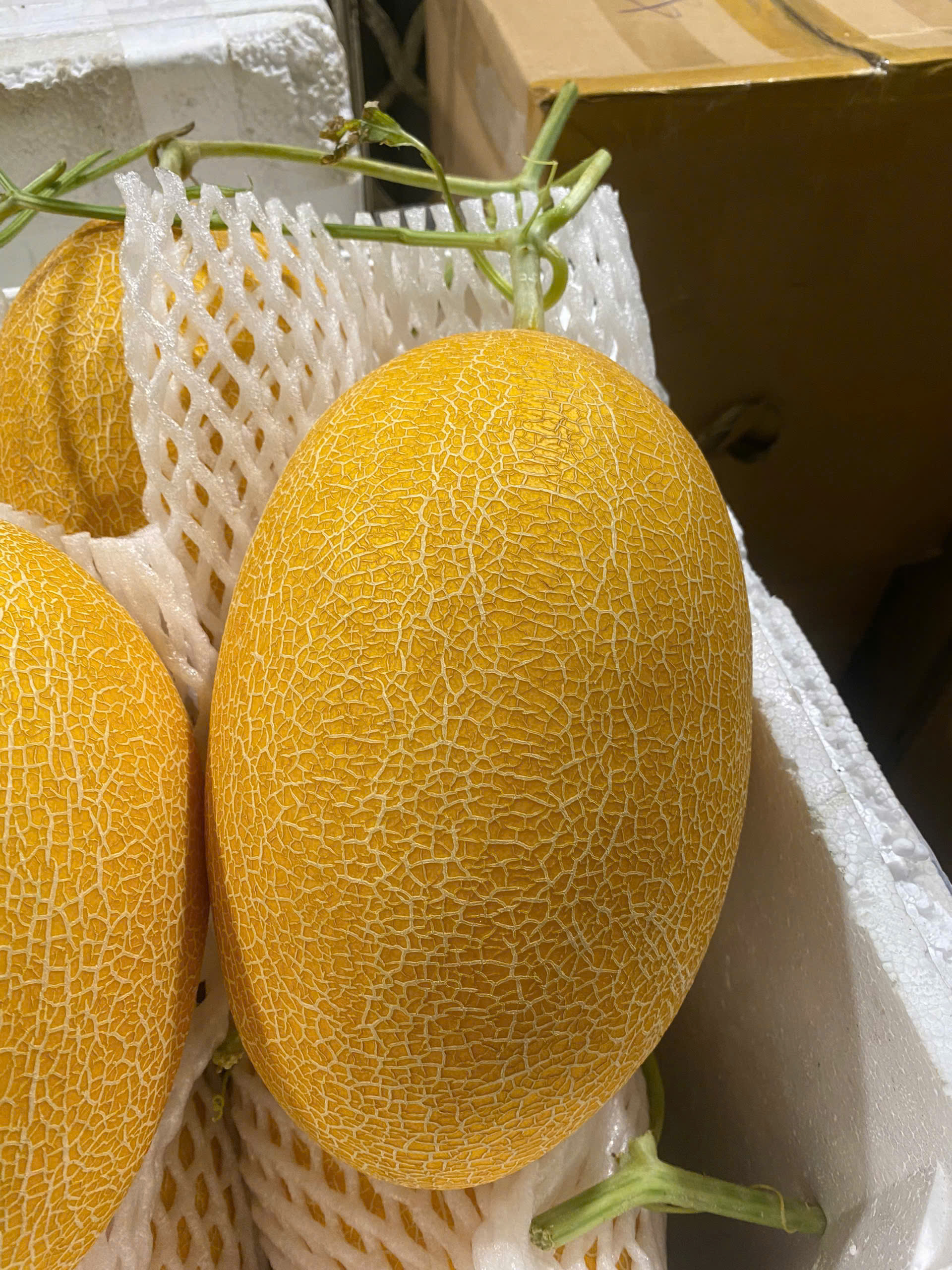 Dưa lưới Huỳnh Long - ảnh 8